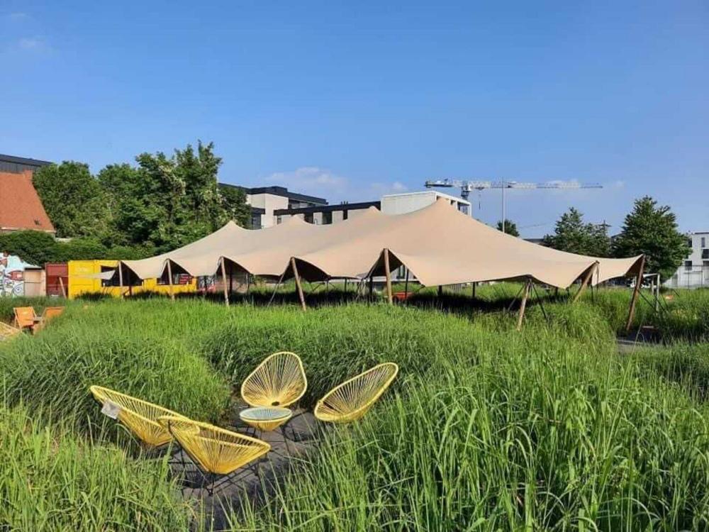 Triflexx stretch tent canvas (560 g/m²) with clamps - 10 x 21,5 m Sand/Cream