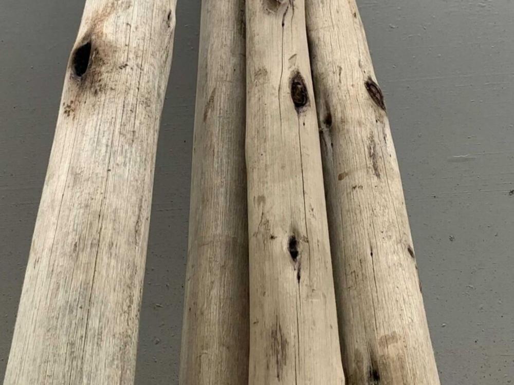 Wooden pole Eucalyptus | 180 cm (Ø 50-75 mm)