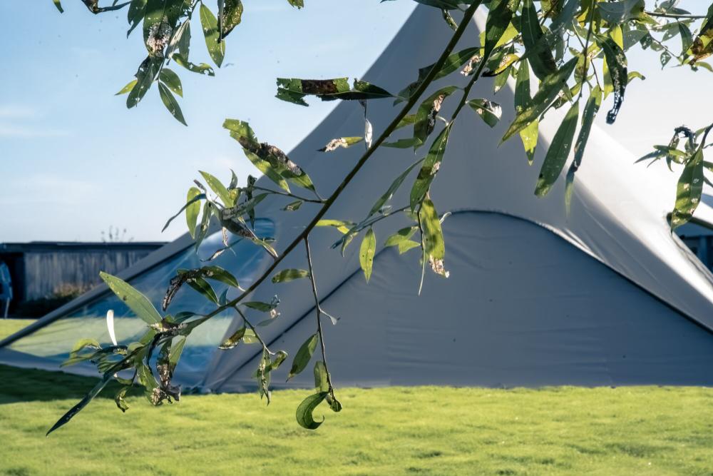 Sternzelt Stellar 7 plain - geschlossene Seitenwand 15 m Weiß